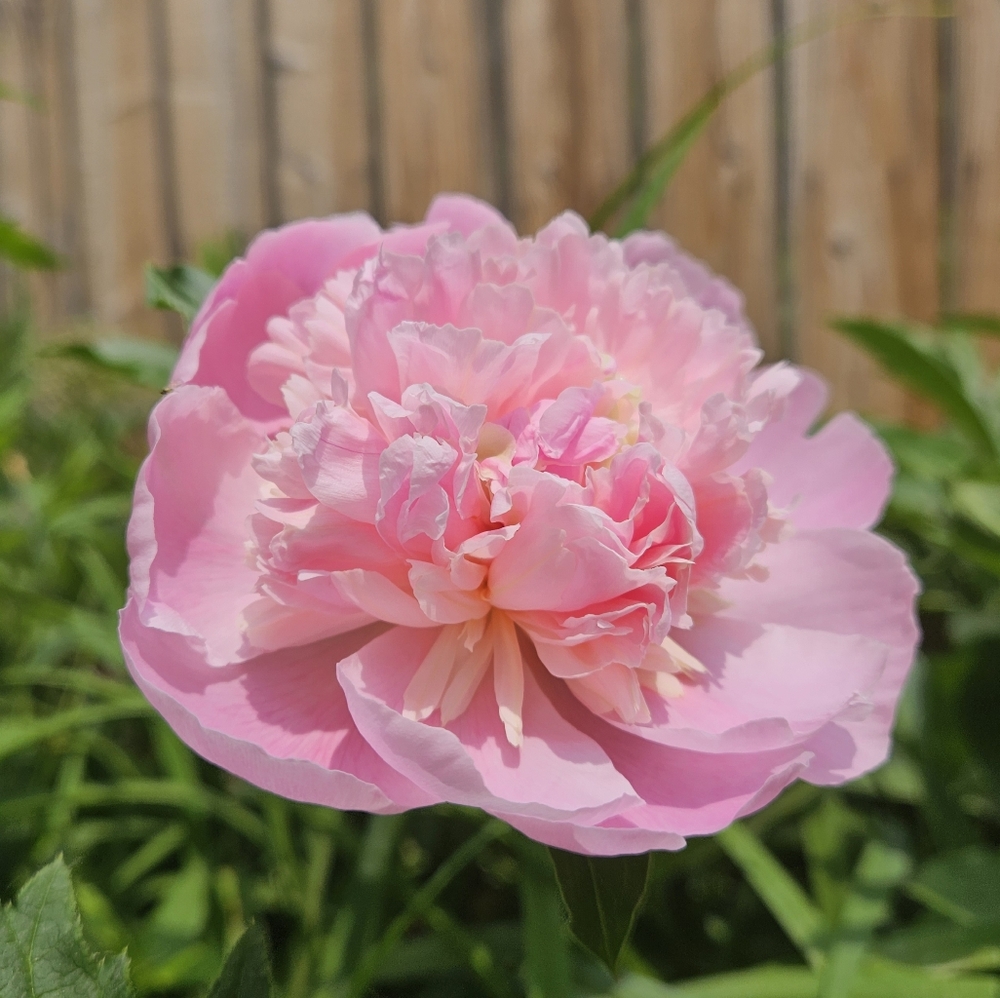 Meet your Posher, Wiktoria